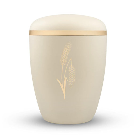 Spalt Urne Seashell Lackiert Naturstoff