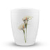 Calla