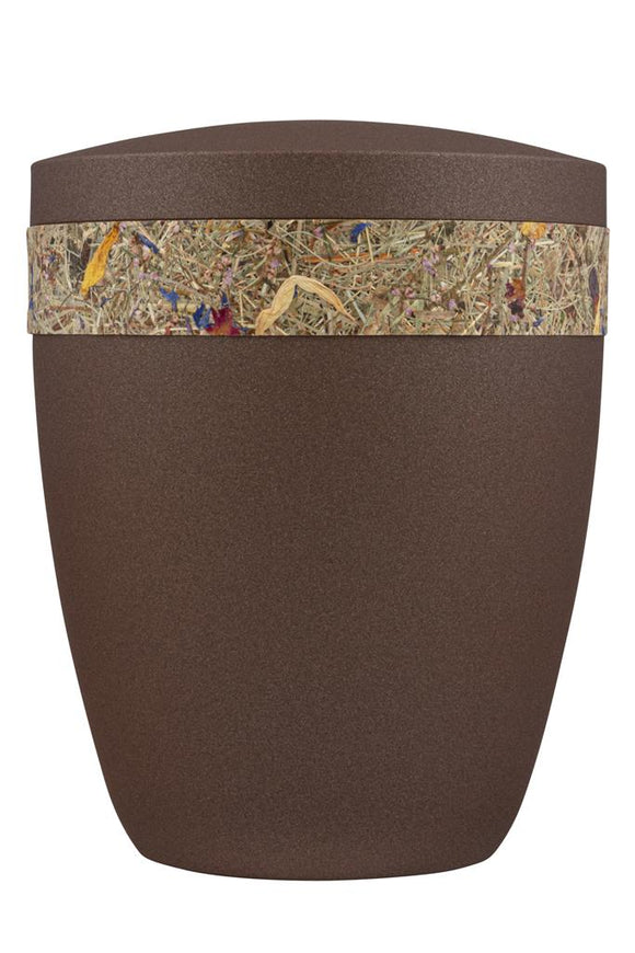 Spalt Urne Bronze Lackiert Naturstoff