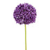 Allium 89cm purple