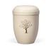 Baum