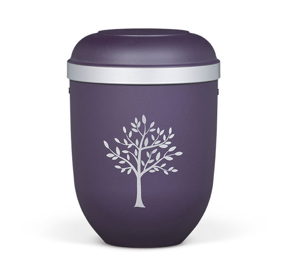 Heiso Classic Silberrand Bio Urne