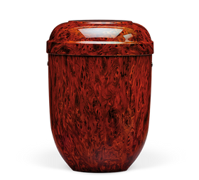 Heiso Classic Wurzelholzdesign Bio Urne - 0