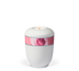 Weiß Rosenblüte