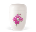 Cremeweiß Orchidee