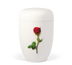 Cremeweiß Stielrose