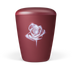 Weinrot Rose
