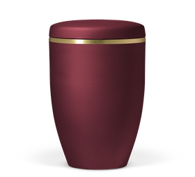 Heiso Avantgarde Goldband gebürstet Bio Urne