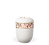 Weiß Rosenblätter