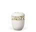 Weiß Orchideen