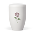 Weiß Rose