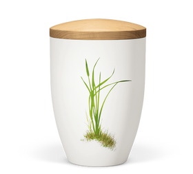 Heiso Avantgarde Holzdeckel Bio Urne - 0