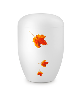 Völsing Urne Edition 1 - 0