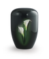 Calla