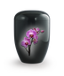 Orchidee