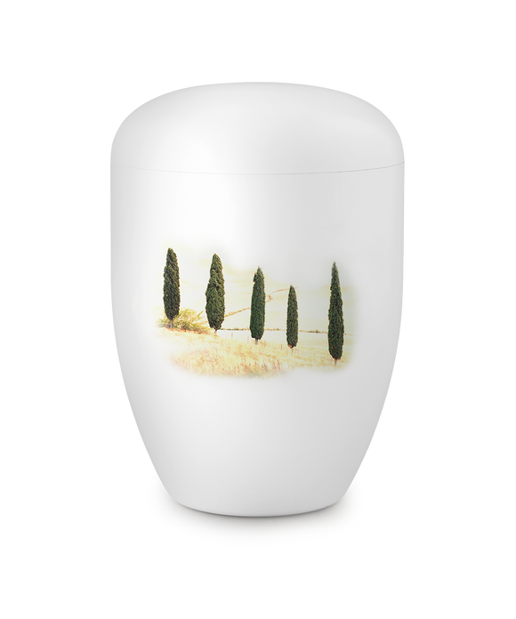 Völsing Urne Edition 1