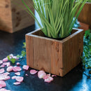 Übertöpfe aus Pinienholz-4