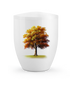 hochglanz weiß/Ahornbaum Herbst