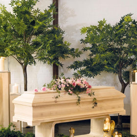 Äste für Ahornbaum - 2 Farben - 0