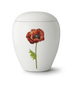 Weiß Mohn