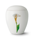 Weiß Calla