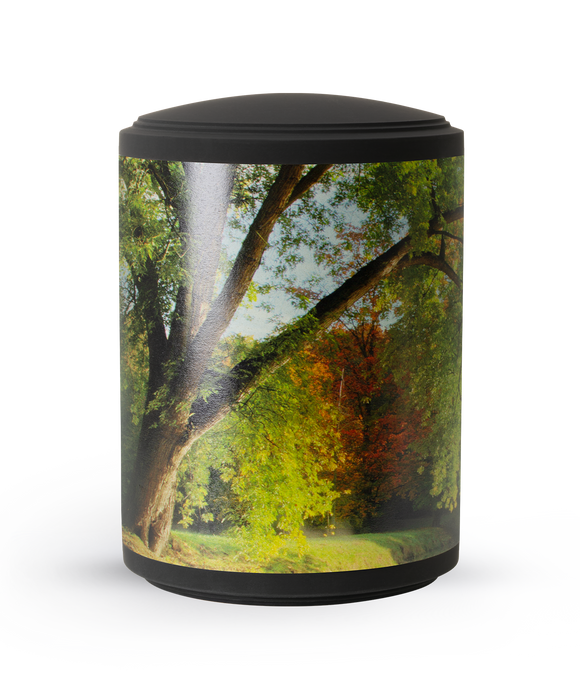 Völsing Urne Edition Arbo