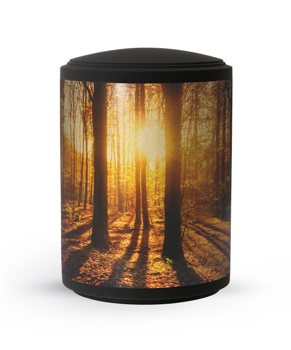 Völsing Urne Edition Arbo