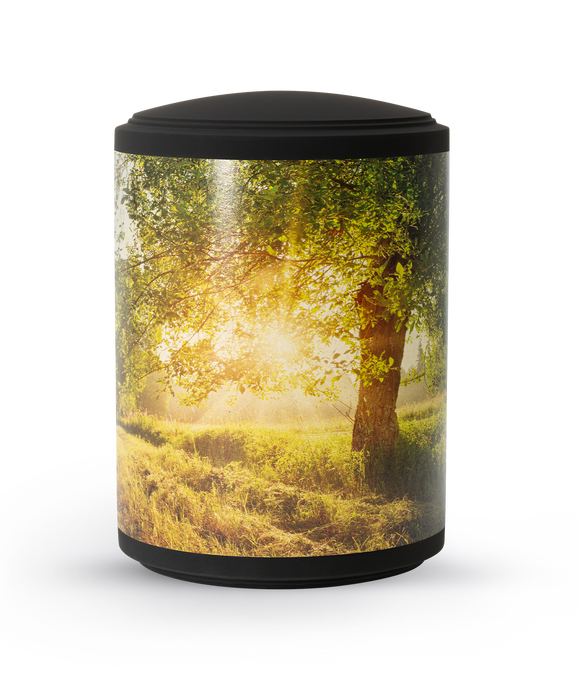 Völsing Urne Edition Arbo