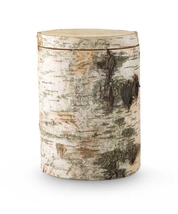 Völsing Urne Edition Baumurne Holz