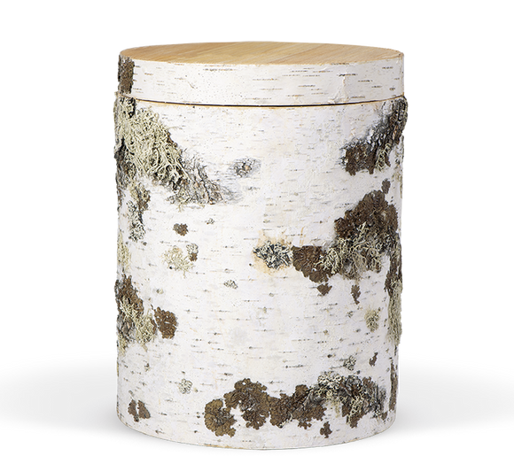 Heiso Birke Baumrindenoptik Holz Urne