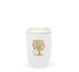 Weiß Lebensbaum