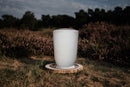 Fungus Urnemodelle-4