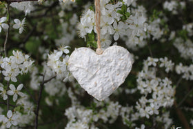 Fungus Dekorationen - 0