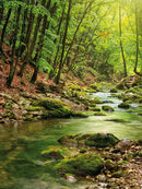 Farewell Print Premium Roll-Up 150-3