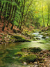 Bachlauf 150