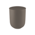 Teak