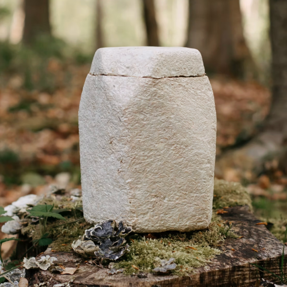 Urne Evig - Rest in Pilz