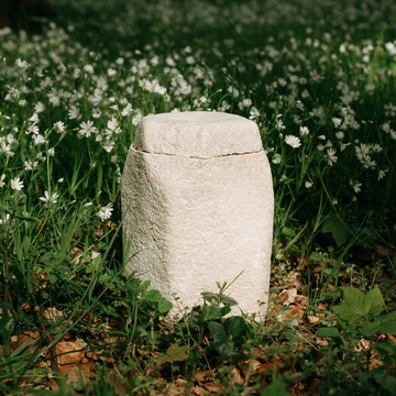 Urne Evig - Rest in Pilz