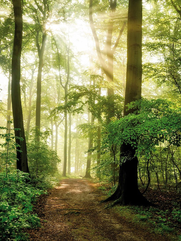 Farewell Print Premium Roll-Up 150