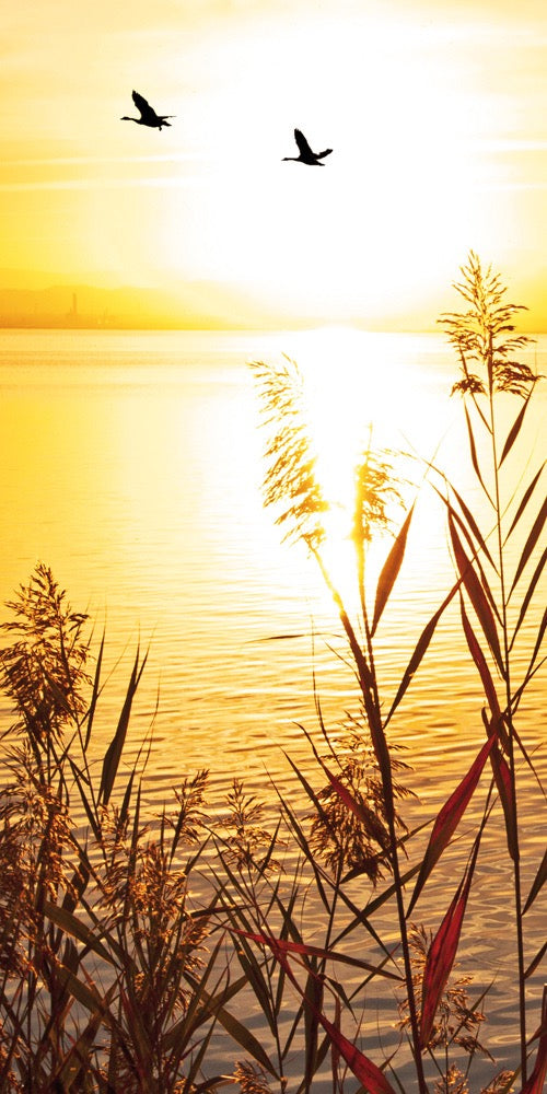 Farewell Print Premium Roll-Up 100 UNO