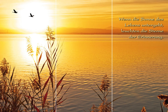 Farewell Print Premium Roll-Up 100 TRIO