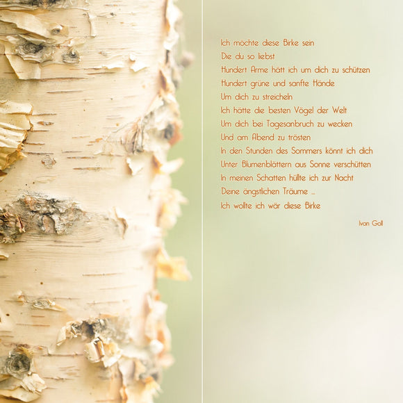 Farewell Print Premium Roll-Up 100 DUO