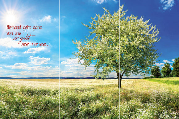 Farewell Print Premium Roll-Up 100 TRIO