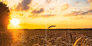 Farewell Print Premium Roll-Up 100 QUATTRO-6