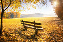 Farewell Print Premium Roll-Up 100 TRIO-10