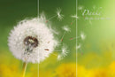 Farewell Print Premium Roll-Up 100 TRIO-12