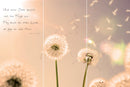 Farewell Print Premium Roll-Up 100 TRIO-13