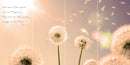 Farewell Print Premium Roll-Up 100 QUATTRO-8