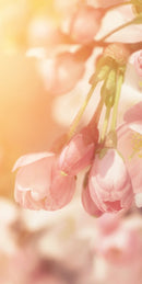 Farewell Print Premium Roll-Up 100 UNO-6