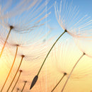 Farewell Print Premium Roll-Up 100 DUO-2